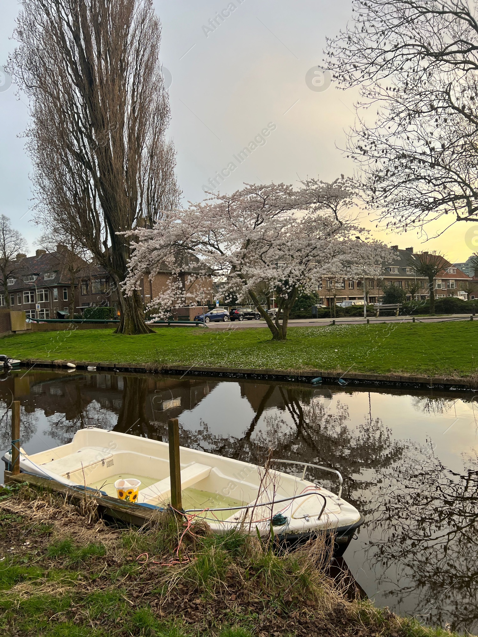 Photo of Picturesque view of canal with moored boat and blossoming tree in city