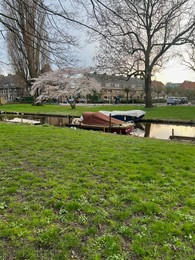 Picturesque view of canal with moored boats and blossoming tree in city