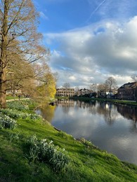 Photo of Scenic view of beautiful flowers, tree and canal under blue sky