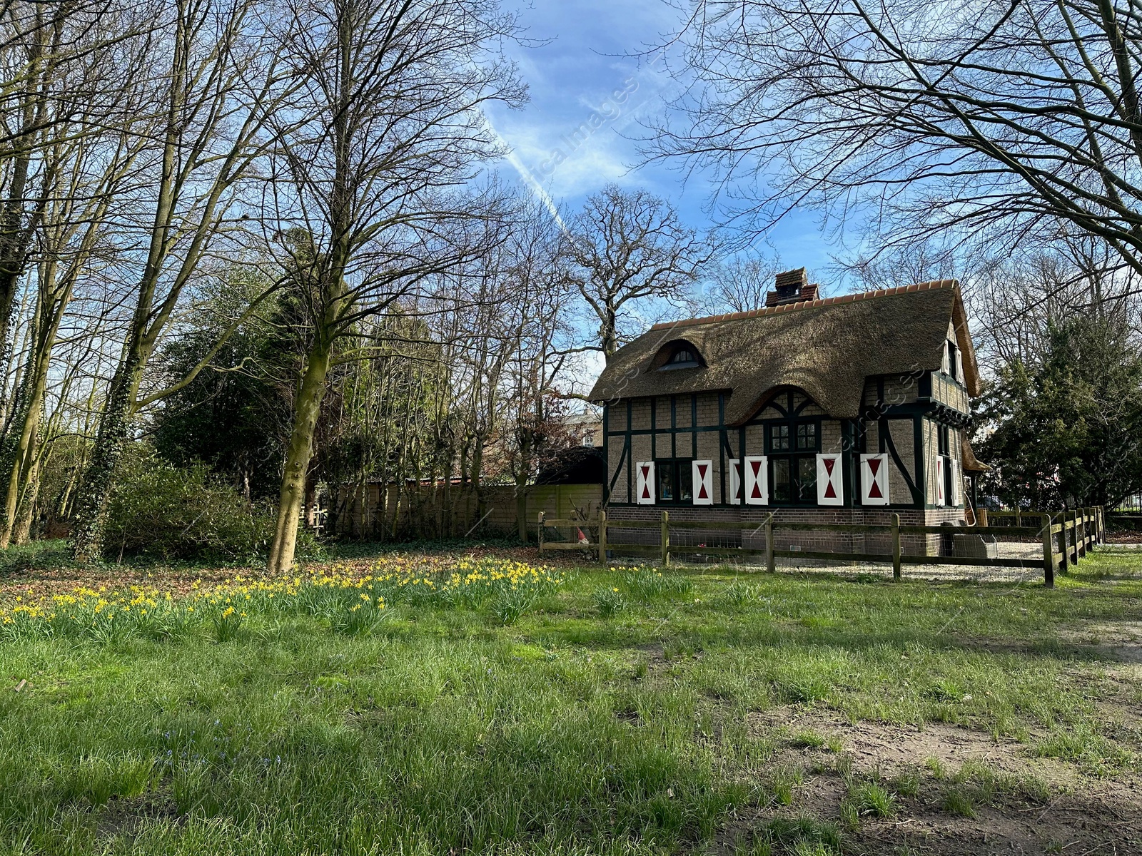 Photo of Picturesque view of house and trees in park under blue sky