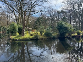 Picturesque view of river and trees in park on spring day