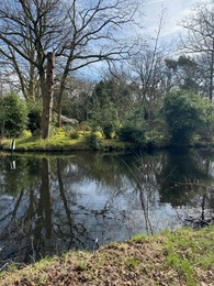 Photo of Picturesque view of river and trees in park on spring day