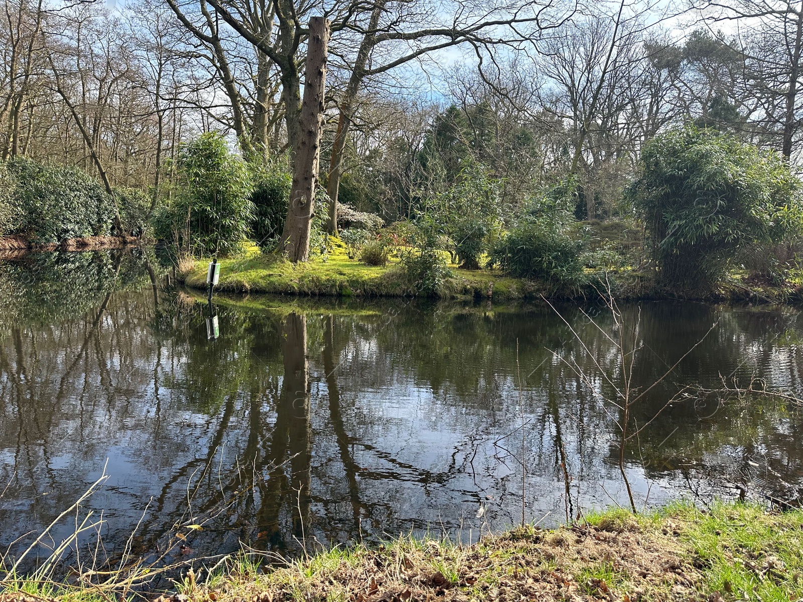 Photo of Picturesque view of river and trees in park on spring day