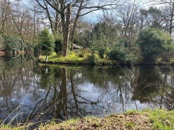 Photo of Picturesque view of river and trees in park on spring day