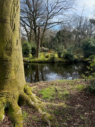 Photo of Picturesque view of river and trees in park on spring day