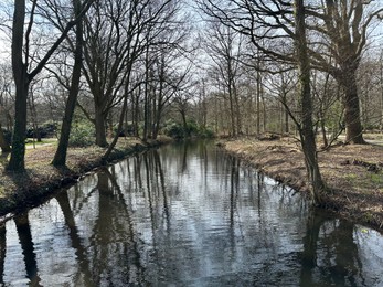 Picturesque view of river and trees in park on spring day