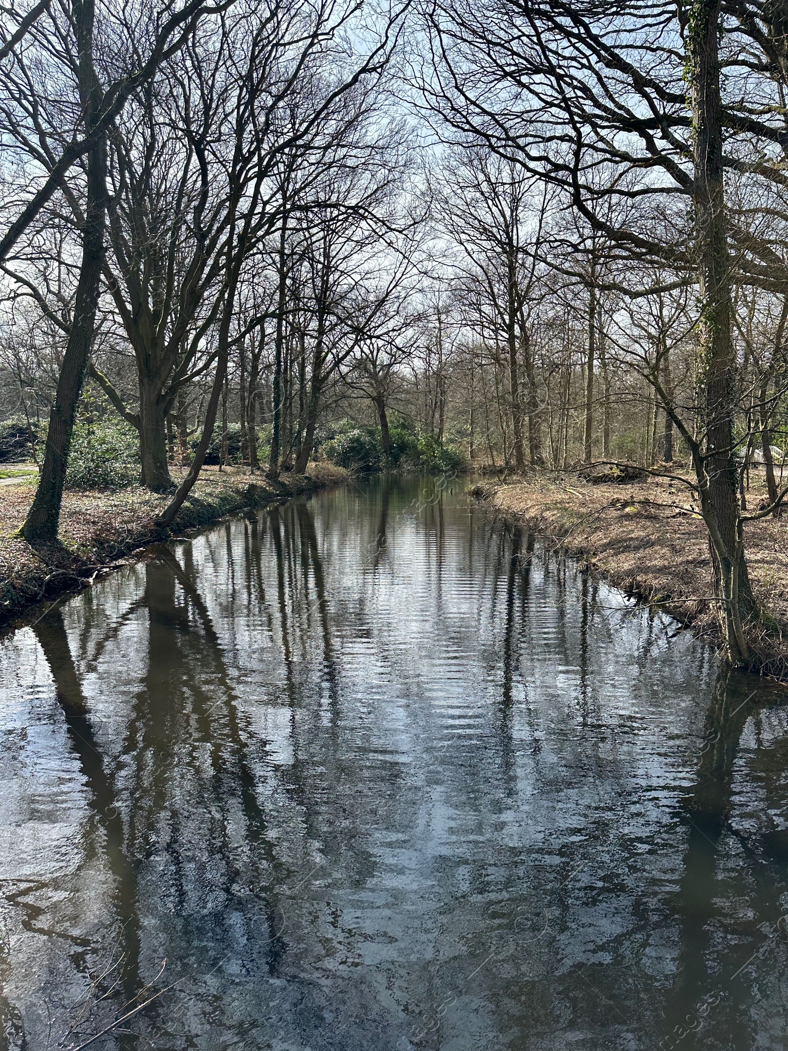 Photo of Picturesque view of river and trees in park on spring day