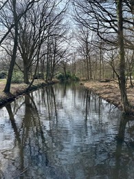 Photo of Picturesque view of river and trees in park on spring day