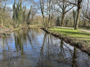 Picturesque view of river and trees in park on spring day