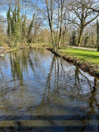 Photo of Picturesque view of river and trees in park on spring day