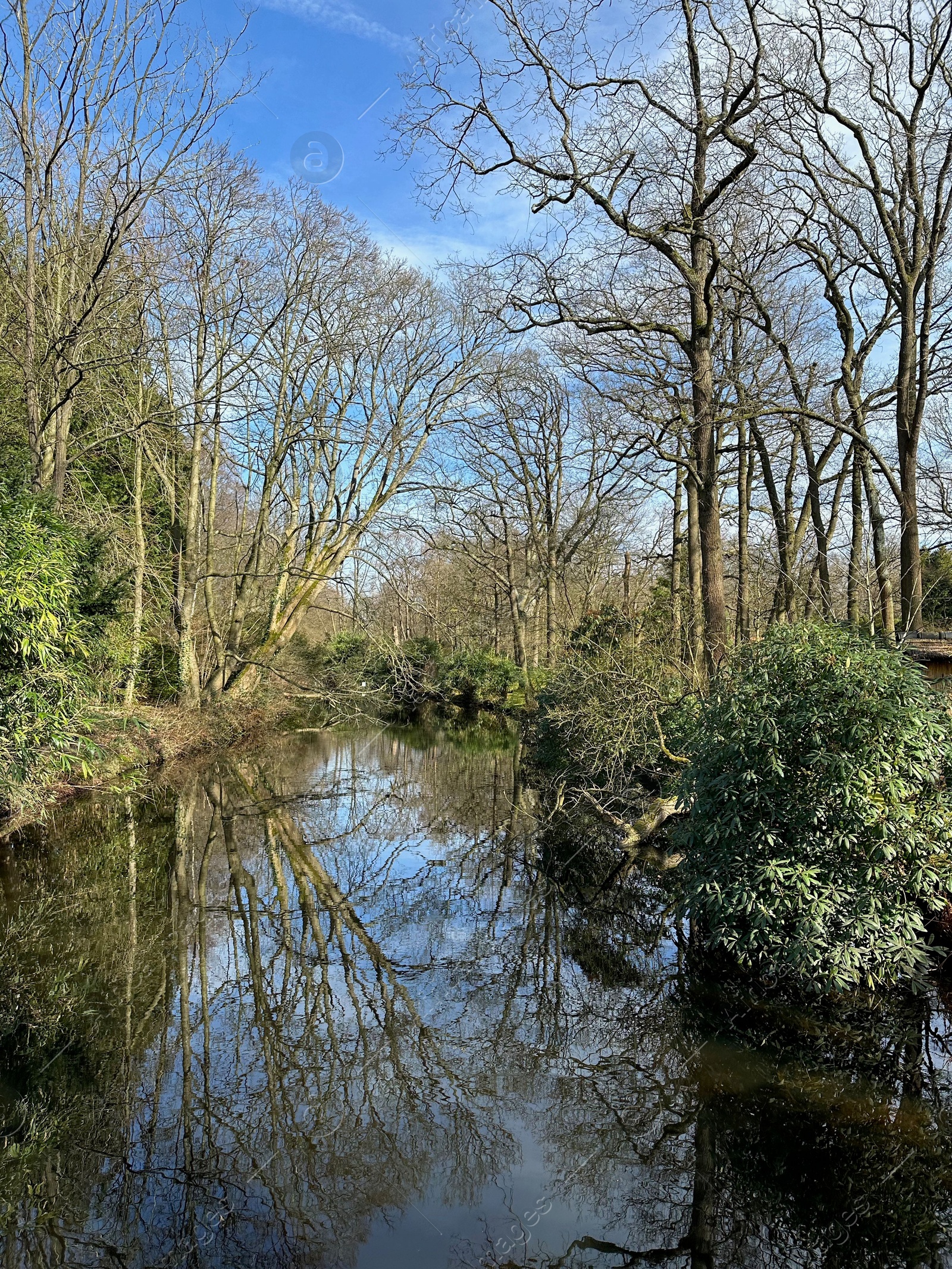 Photo of Picturesque view of river and trees in park on spring day