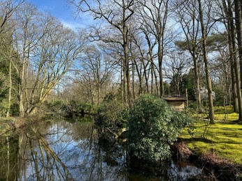 Picturesque view of river and trees in park on spring day