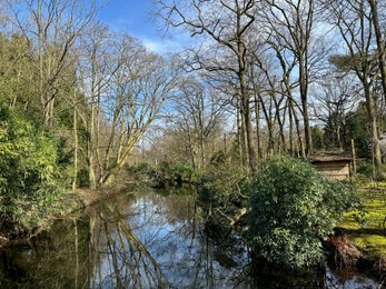 Picturesque view of river and trees in park on spring day