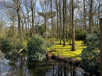 Photo of Picturesque view of river and trees in park on spring day