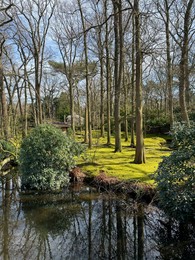 Picturesque view of river and trees in park on spring day