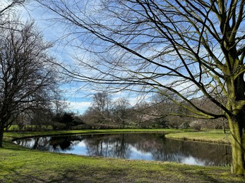Photo of Picturesque view of river and trees in park on spring day