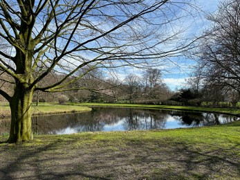 Picturesque view of river and trees in park on spring day