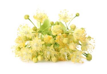 Bunch of beautiful linden blossom isolated on white