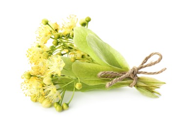 Photo of Bunch of beautiful linden blossom isolated on white