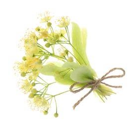 Bunch of beautiful linden blossom isolated on white