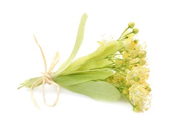 Bunch of beautiful linden blossom isolated on white