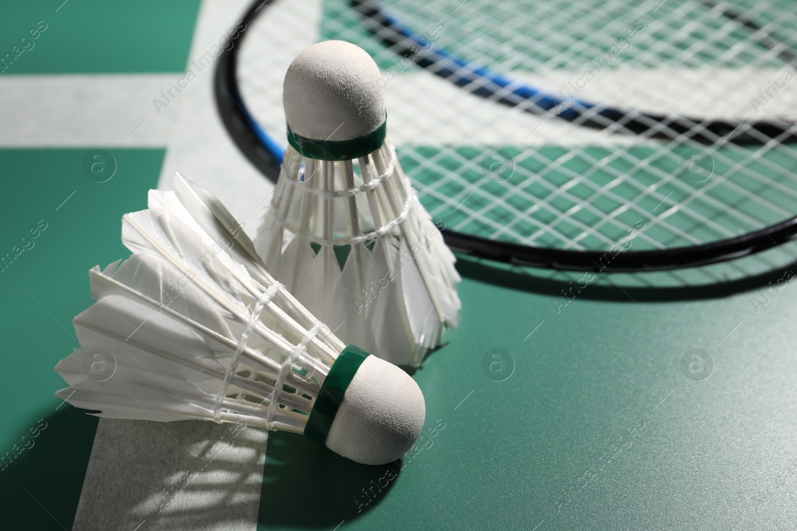 Photo of Feather badminton shuttlecocks and rackets on court, closeup