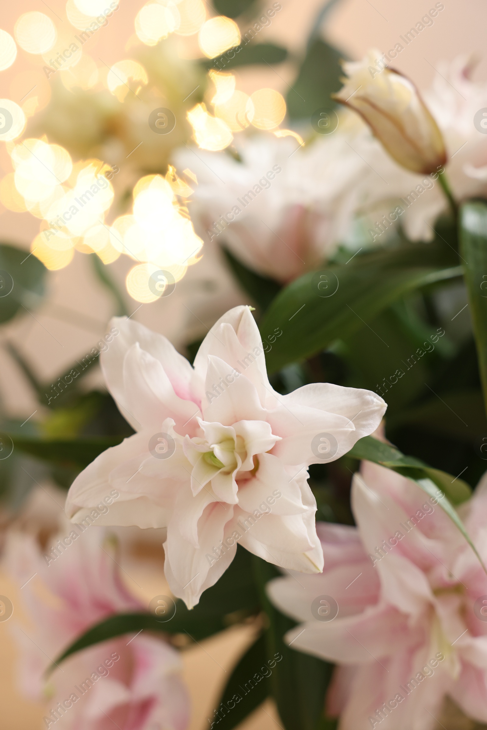 Photo of Bouquet of beautiful lily flowers against blurred lights, closeup