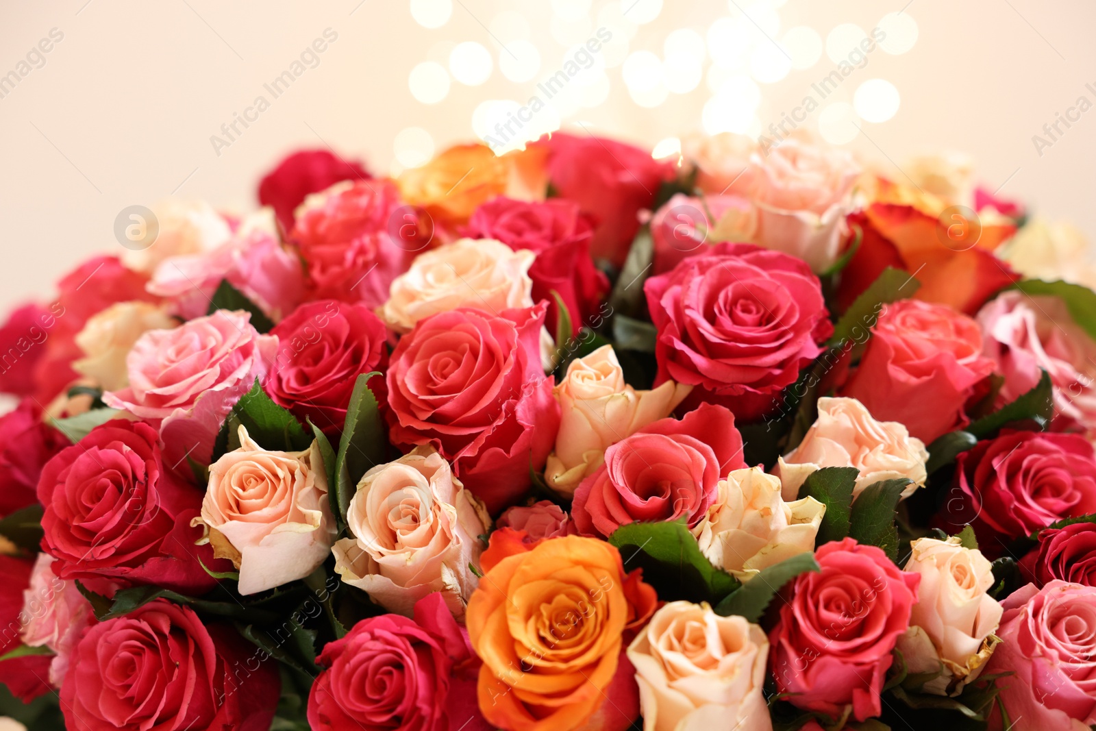 Photo of Beautiful bouquet of colorful roses on beige background, closeup