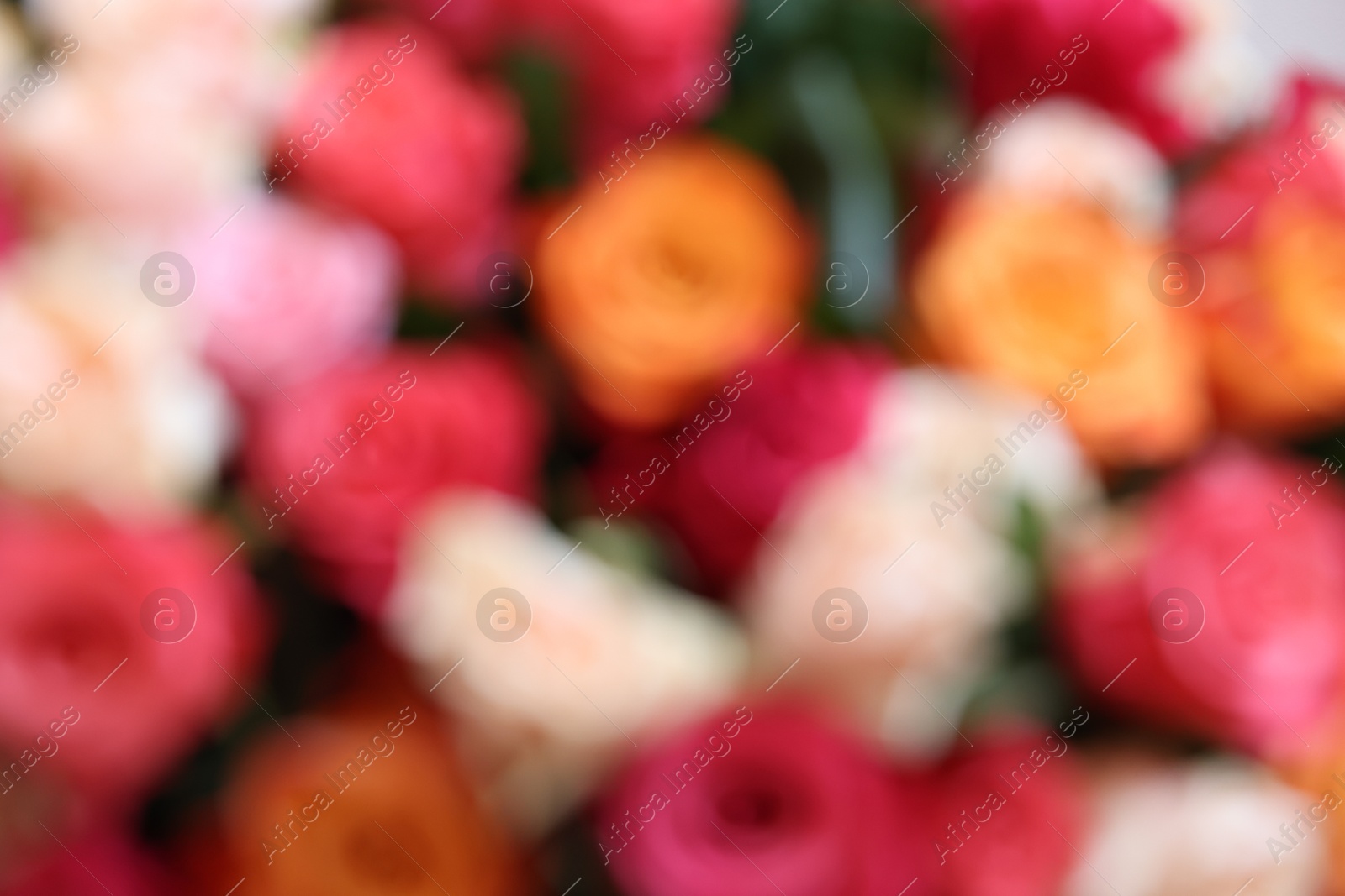 Photo of Beautiful bouquet of colorful roses, blurred view