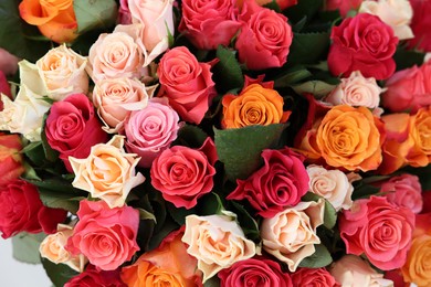 Bouquet of beautiful roses as background, top view