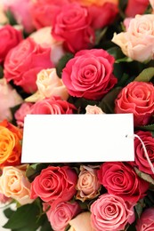 Photo of Bouquet of beautiful roses with blank card, closeup