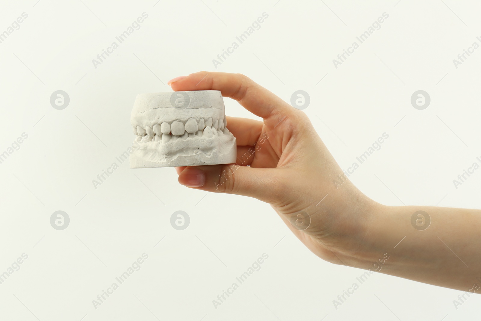 Photo of Woman holding dental model with jaws on white background, closeup. Cast of teeth