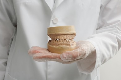 Doctor holding dental model with jaws on white background, closeup. Cast of teeth