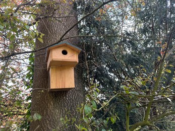 Photo of Beautiful wooden birdhouse hanging on tree trunk in park