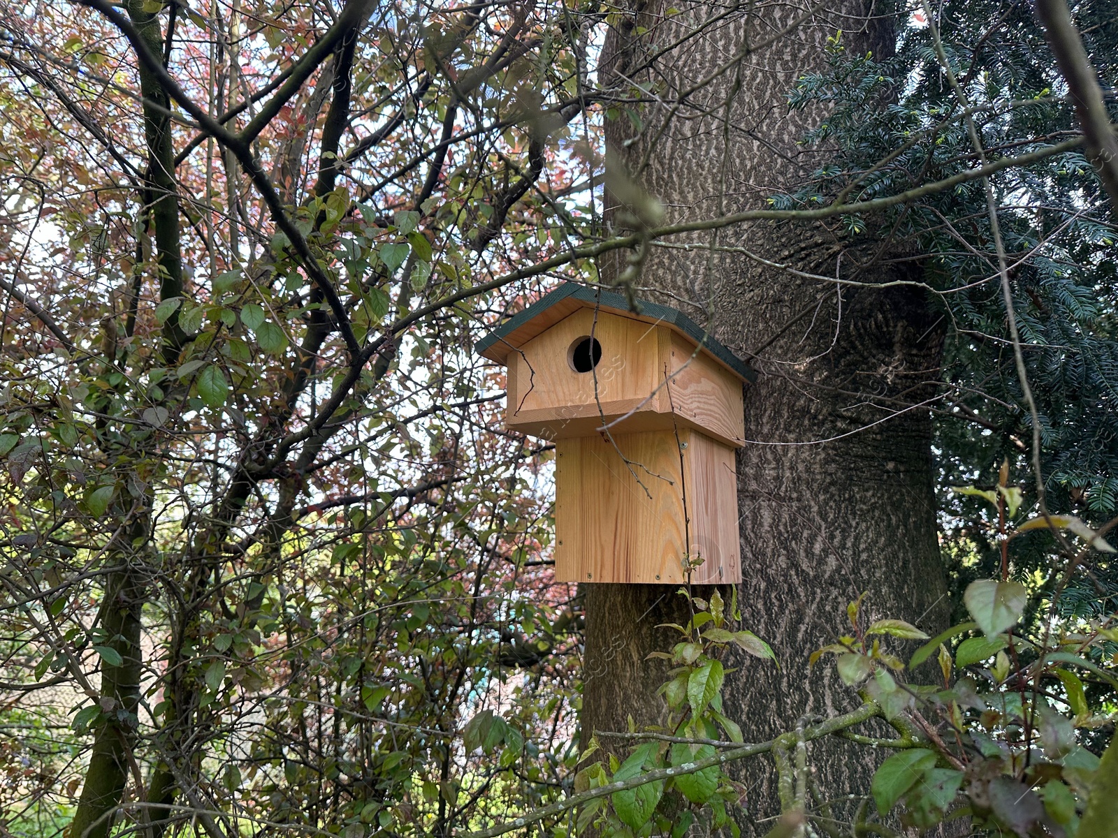 Photo of Beautiful wooden birdhouse hanging on tree trunk in park