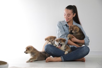 Photo of Woman with Akita Inu puppies sitting on floor near light wall. Space for text