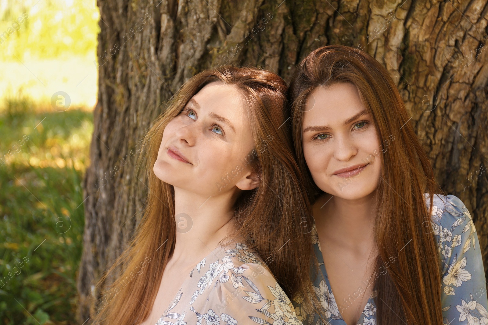 Photo of Two beautiful twin sisters near tree outdoors