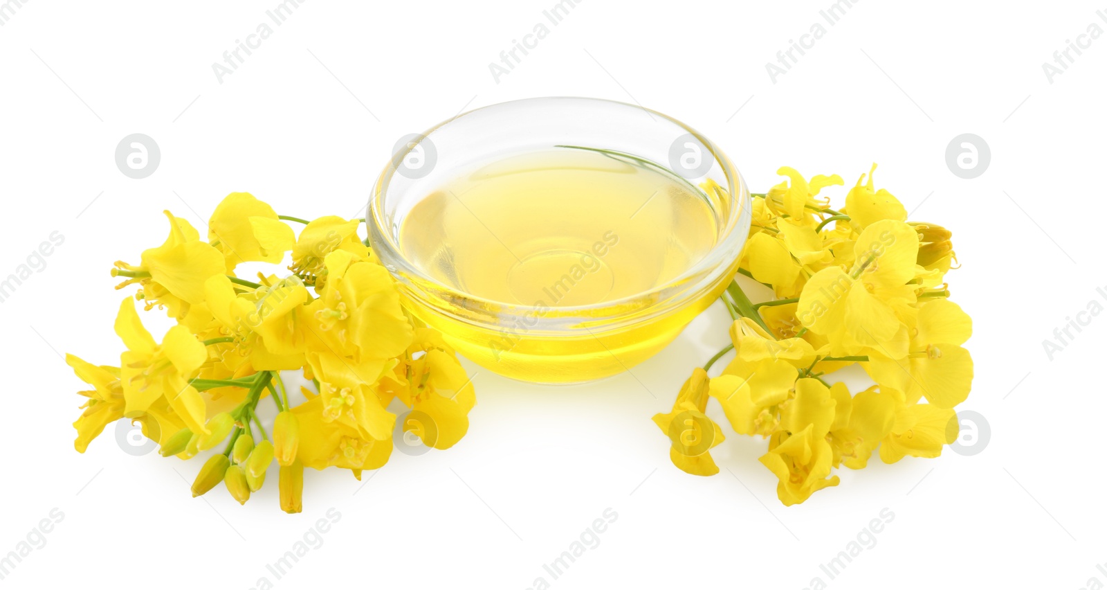 Photo of Rapeseed oil in glass bowl and beautiful yellow flowers isolated on white