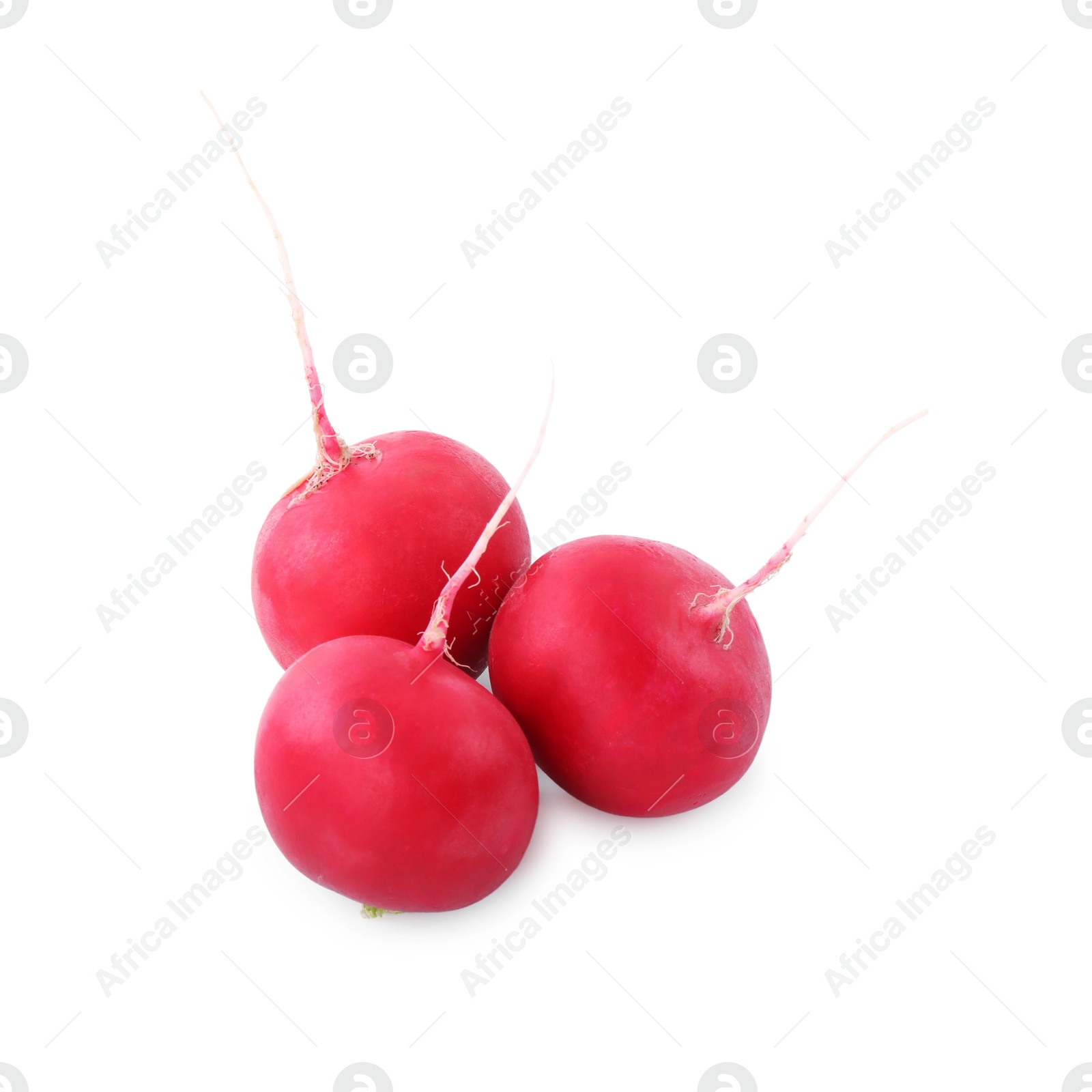 Photo of Three fresh ripe radishes isolated on white