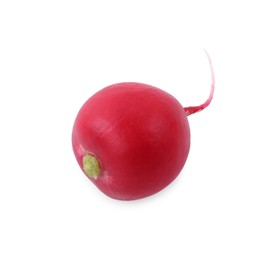 Photo of One fresh ripe radish isolated on white