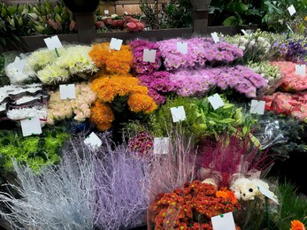 Assortment of beautiful flowers in floral shop