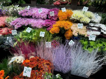 Assortment of beautiful flowers in floral shop