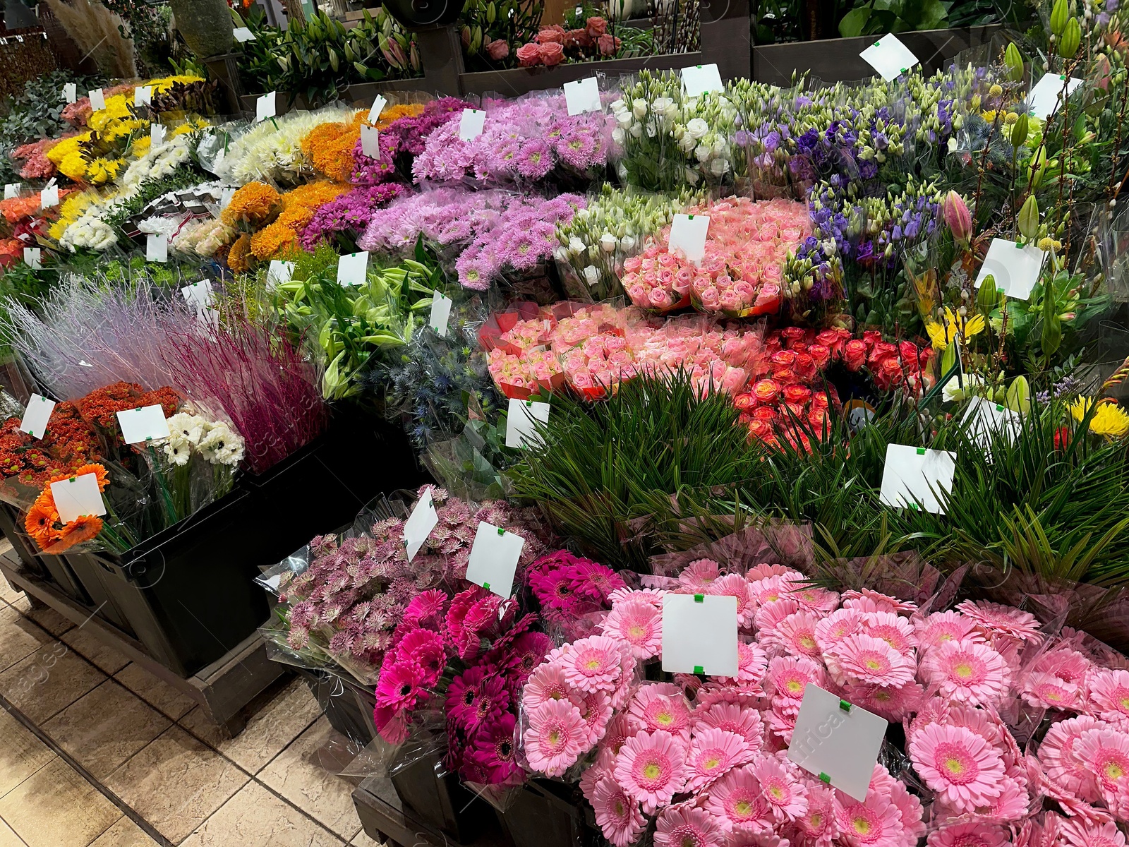 Photo of Assortment of beautiful flowers in floral shop