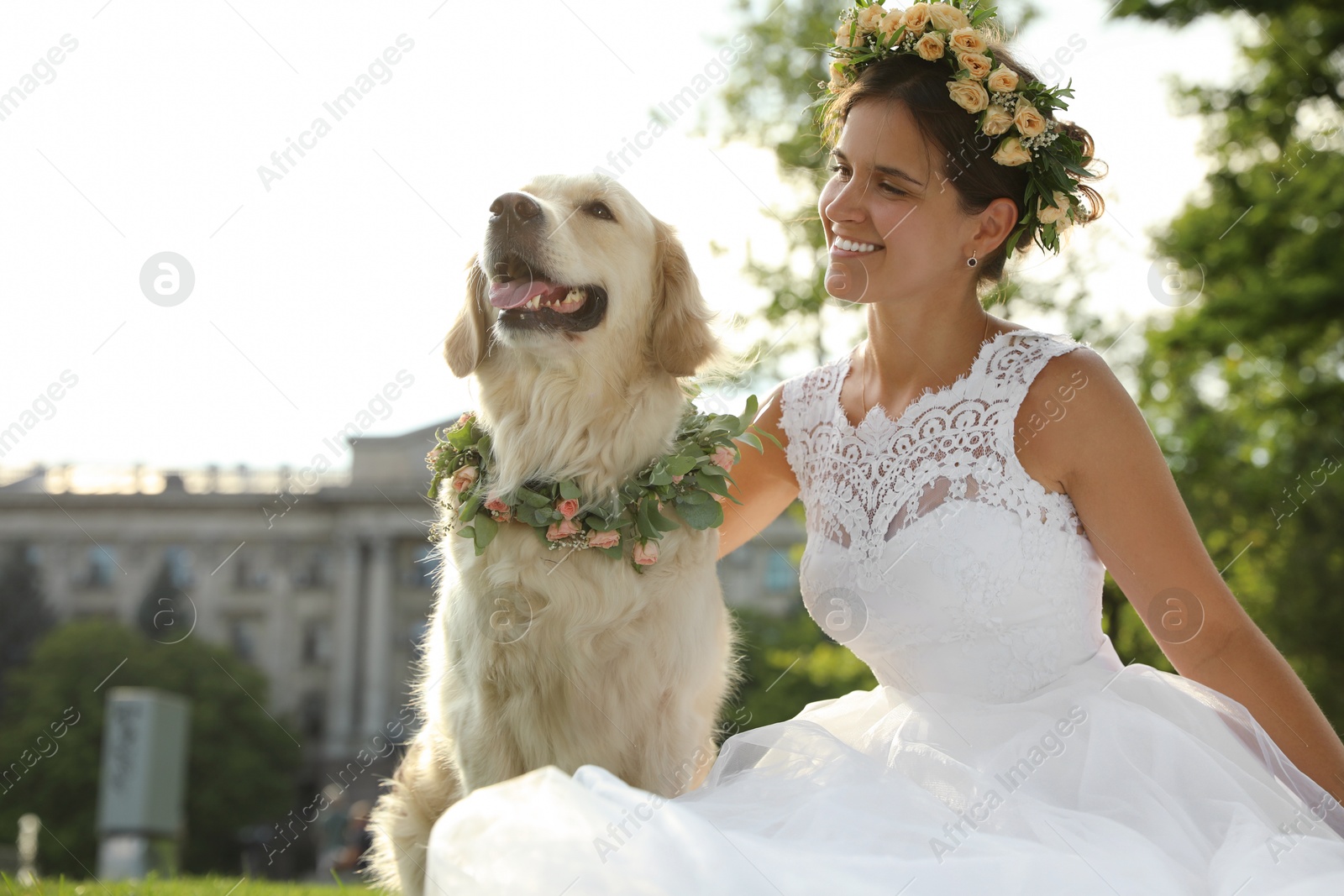 Photo of Bride and adorable Golden Retriever wearing wreath made of beautiful flowers on green grass outdoors