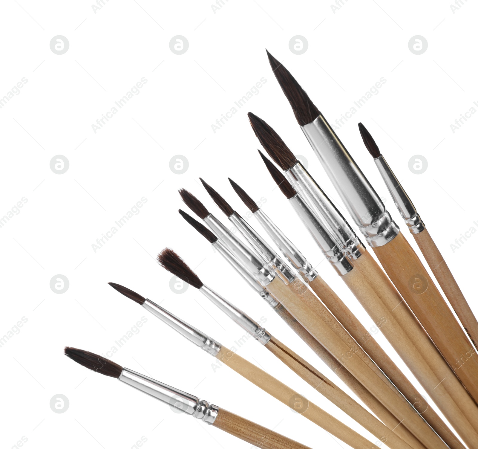 Photo of Many different paint brushes on white background