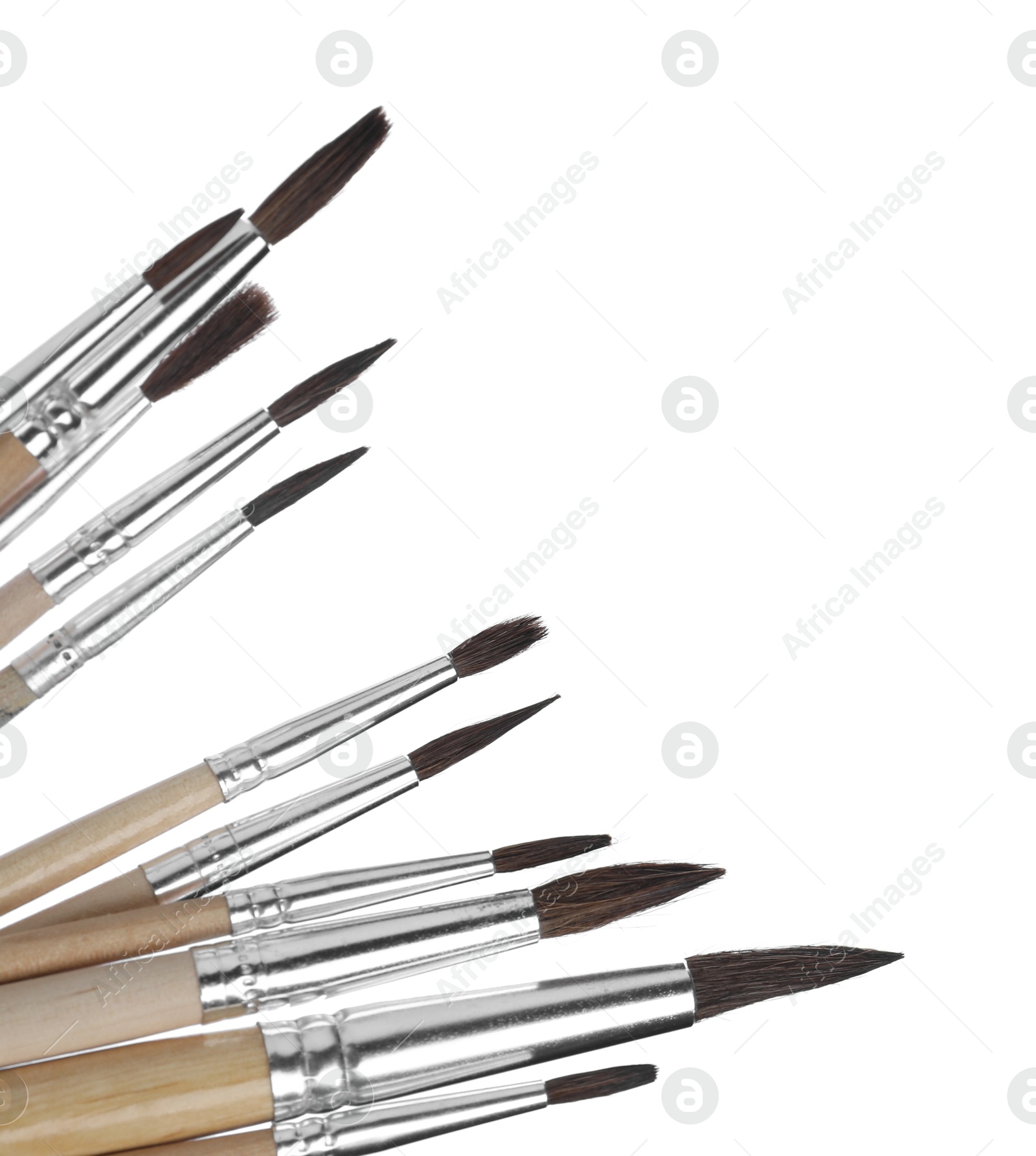 Photo of Many different paint brushes on white background