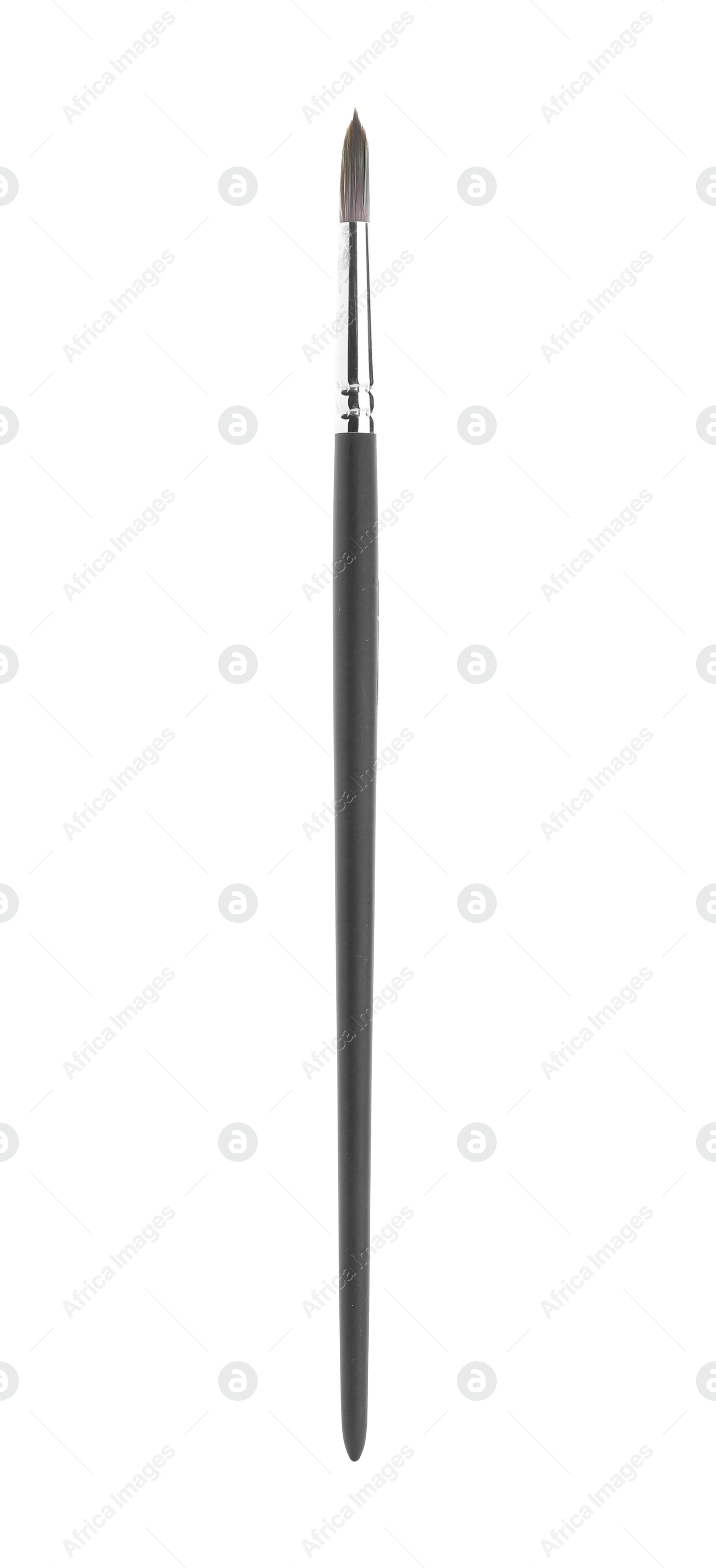 Photo of Paint brush with wooden handle isolated on white