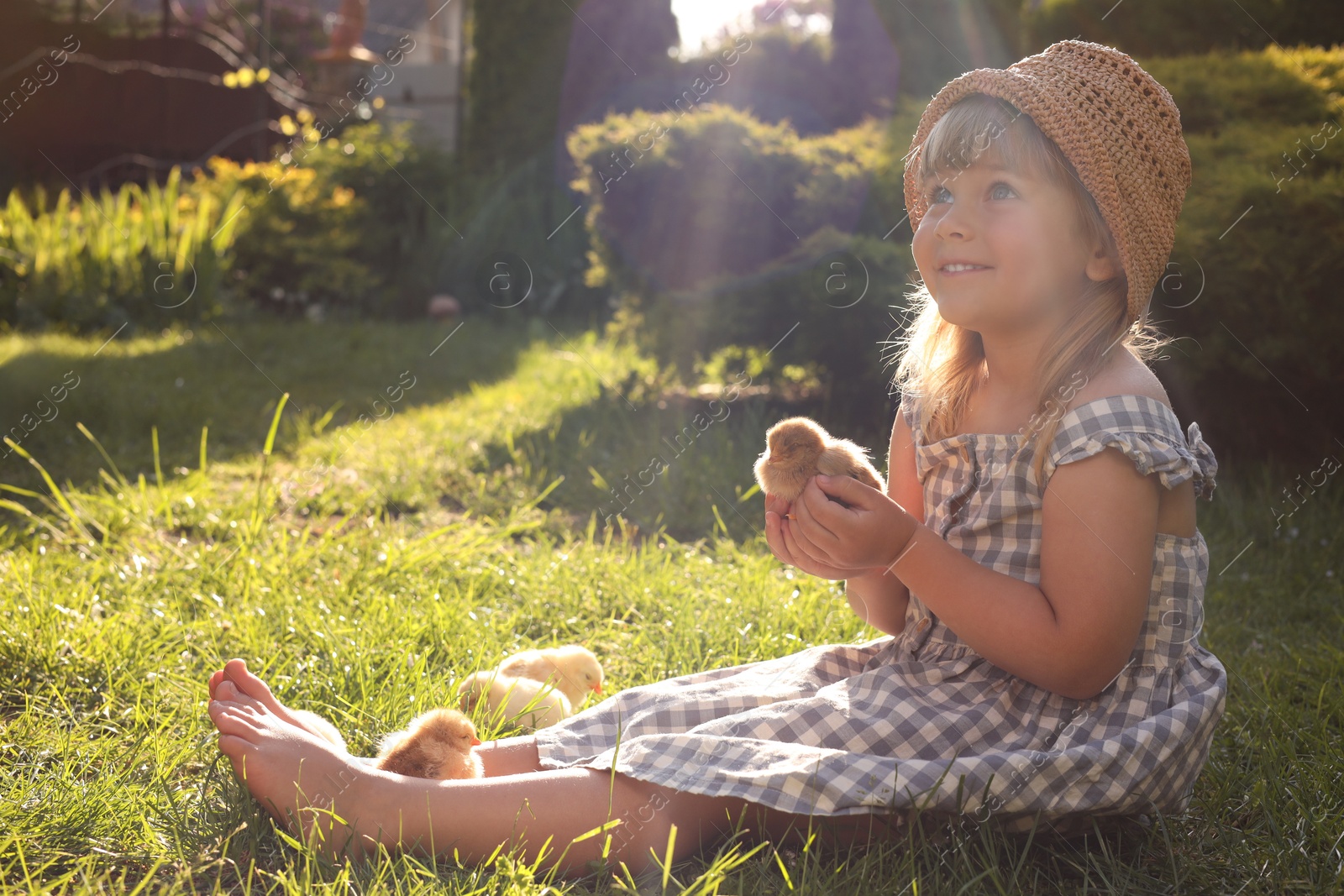 Photo of Little girl with cute chicks on green grass outdoors. Baby animals