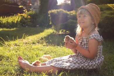 Little girl with cute chicks on green grass outdoors. Baby animals