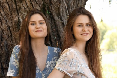 Two beautiful twin sisters near tree outdoors